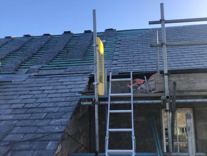 WhatsApp Image 2025-07-02 at 22.41.47_de3540a7